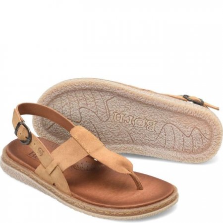 Women's Born Cammie Sandals - Camel Suede (Tan)