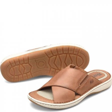 Men's Born Marco Sandals - Terra Brown (Brown)