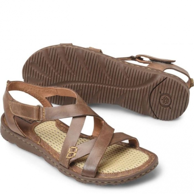 Women's Born Trinidad Basic Sandals - Sunset (Brown)