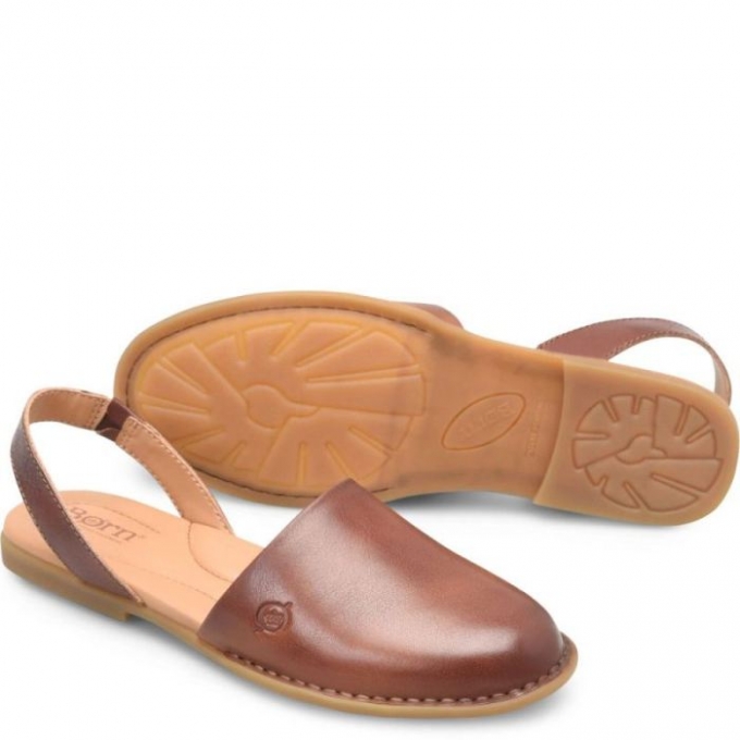 Women's Born Leif Slip-Ons & Lace-Ups - Dark Tan Bourbon (Brown)